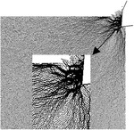 Rock cutting characteristics with single pick and prediction of cutting force based on force chain by Lei DONG, Hua ZHANG, Ji-shuang L, and Rui-min SHI