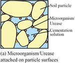 Advances in soil cementation by biologically induced calcium carbonate precipitation by Qian ZHANG, Wei-min YE, Zhang-rong LIU, Qiong WANG, and Yong-gui CHEN